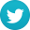 twitter-icon